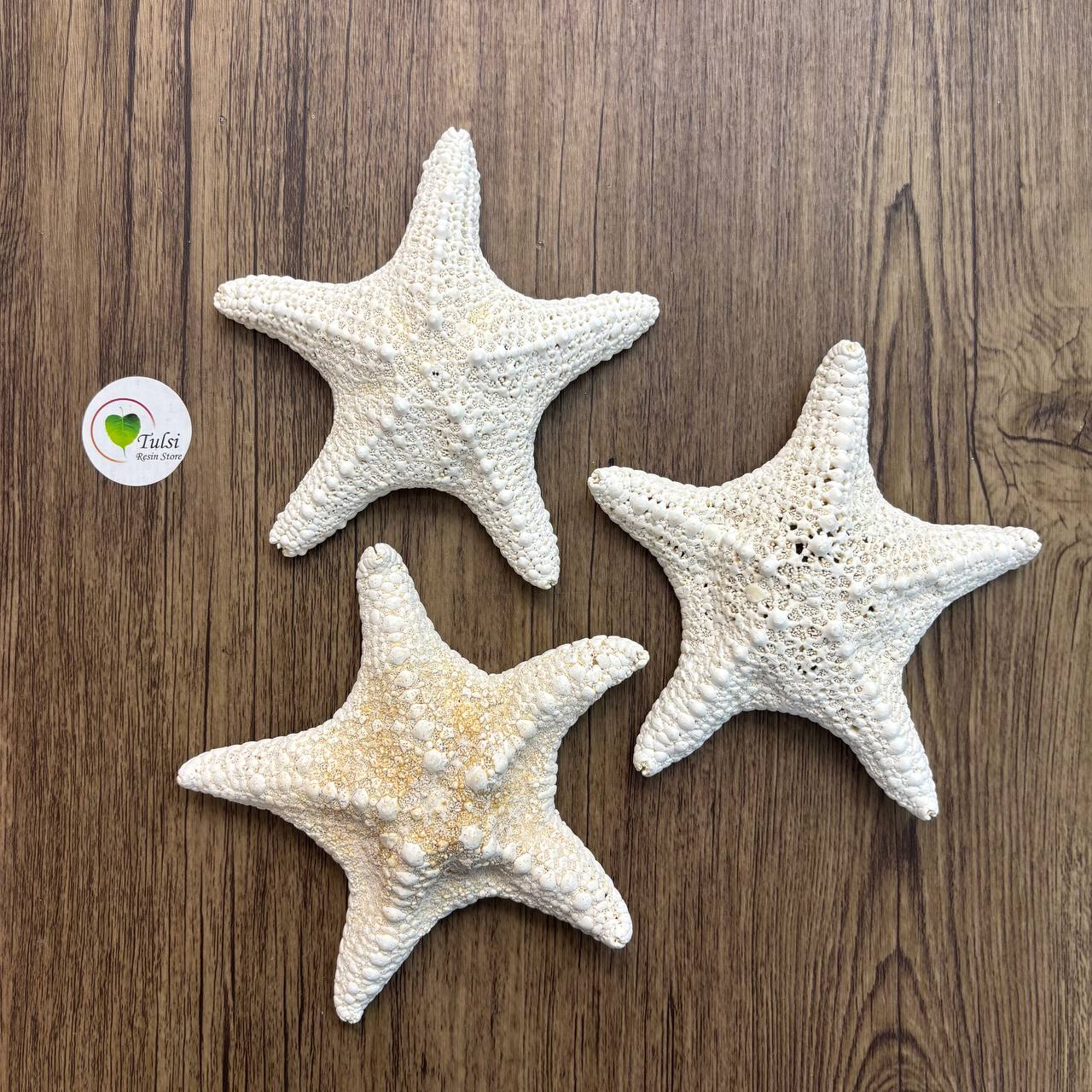 Natural Star Fish - Big