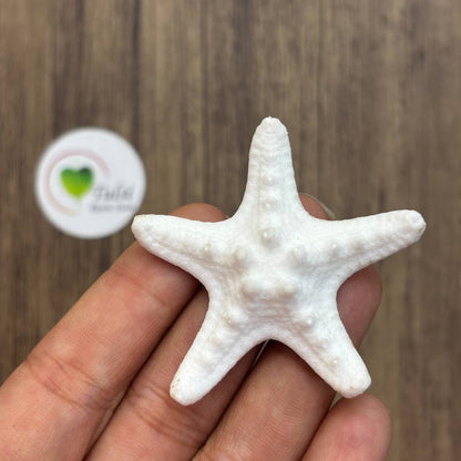 Resin Starfish (C) - Knobby (5Pc)