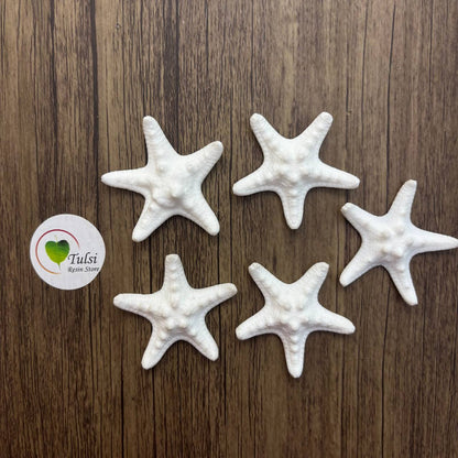 Resin Starfish (C) - Knobby (5Pc)