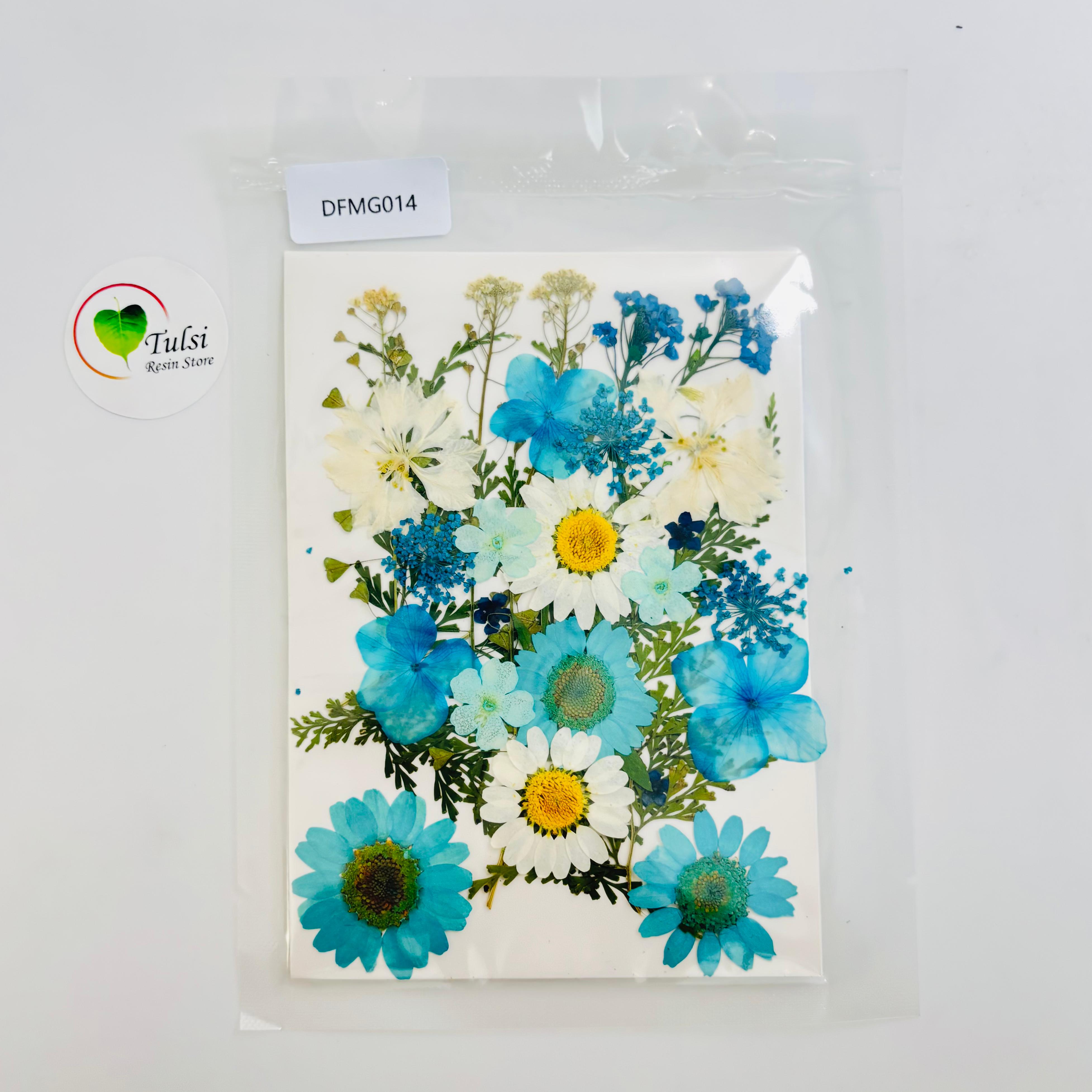 Pressed Flower Sheet Code - G