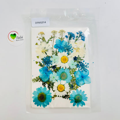 Pressed Flower Sheet Code - G