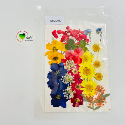 Pressed Flower Sheet Code - O