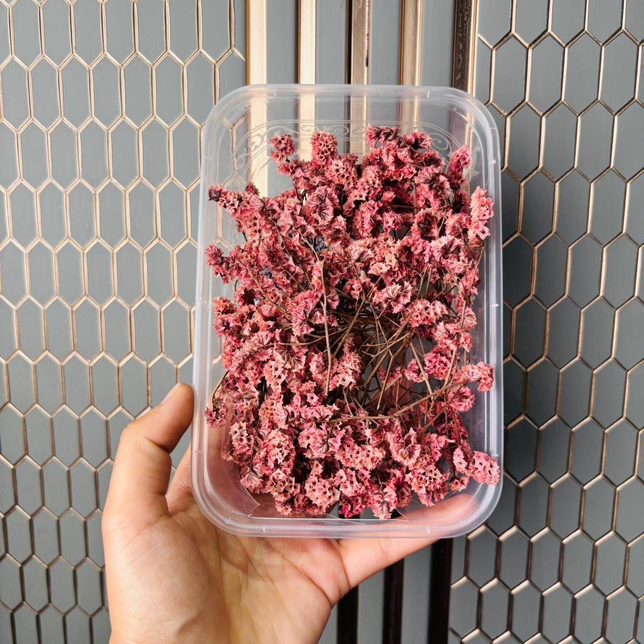 Limonium Flower Box -B