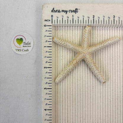 Natural Star Fish - Medium Finger