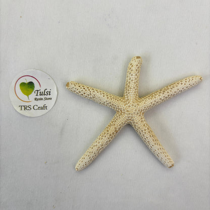 Natural Star Fish - Medium Finger