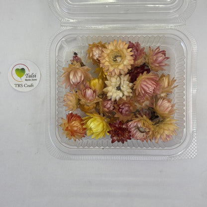 3D Dry Straw Flower box - Buds