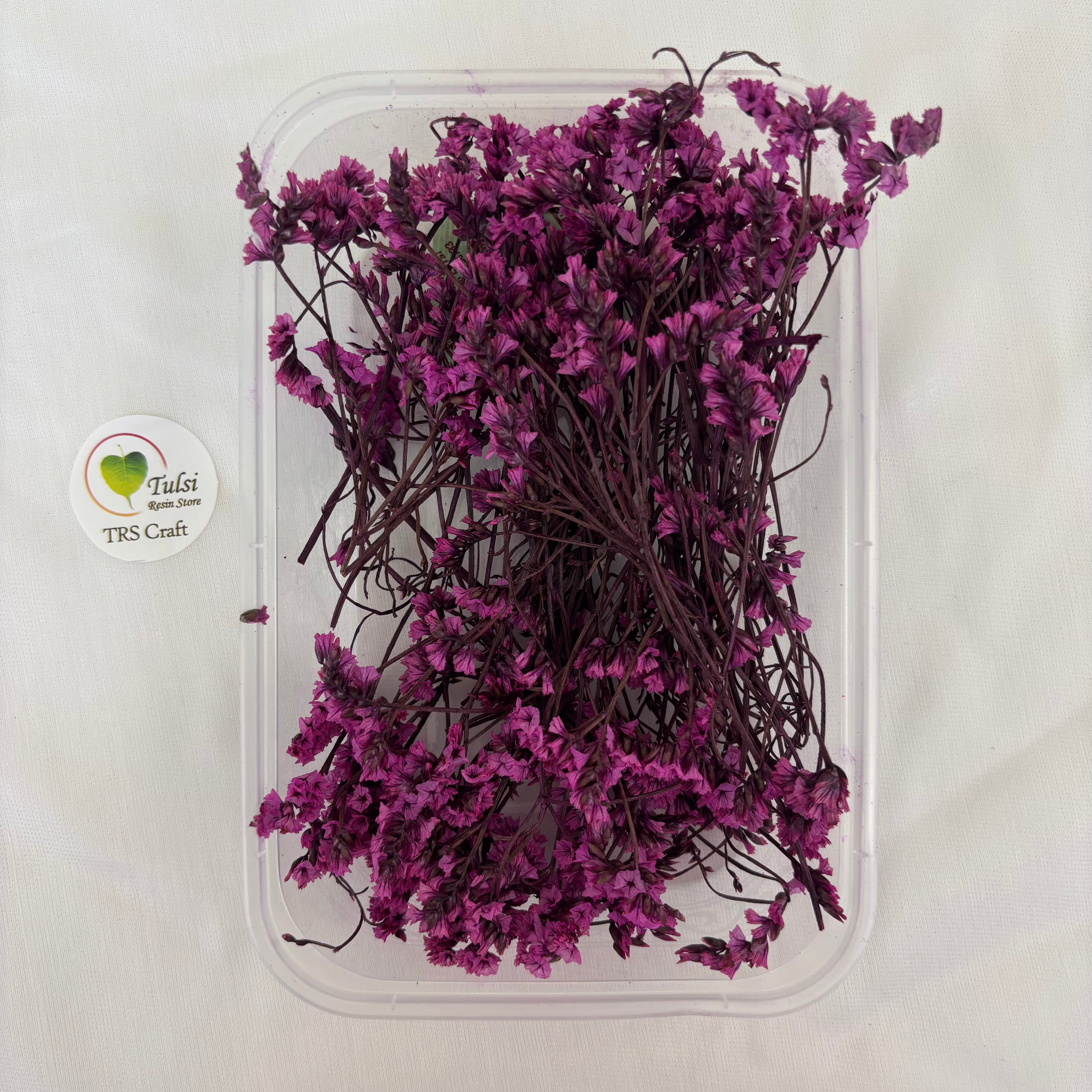 Limonium Flower Box -H
