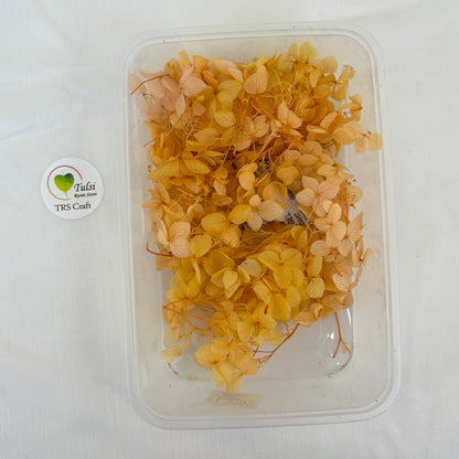 Hydrangea Dry Flower Box - (J)