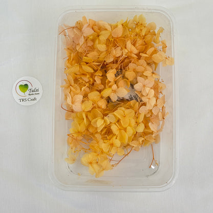 Hydrangea Dry Flower Box - (J)