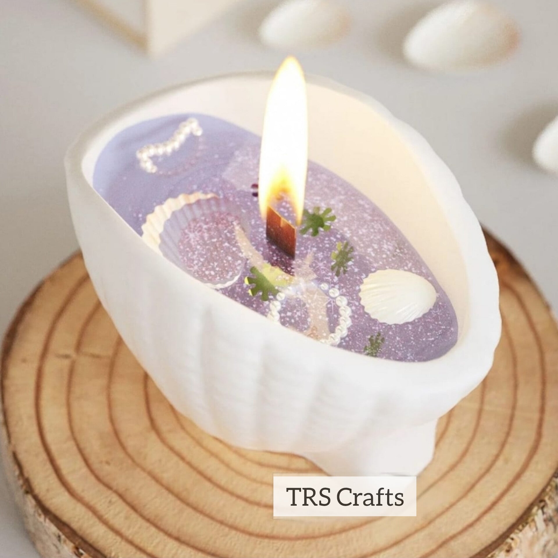 Conch Mould - Coral Shell