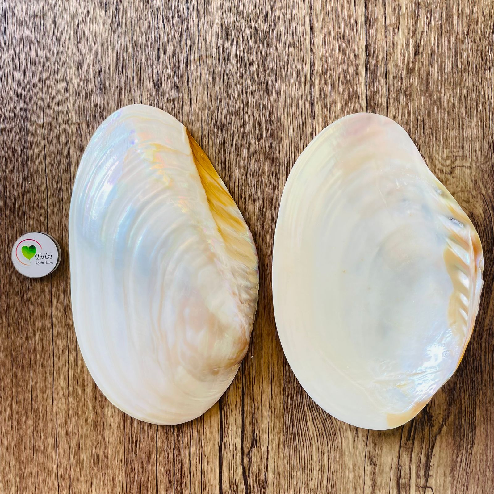 Mother of Pearl - Big White