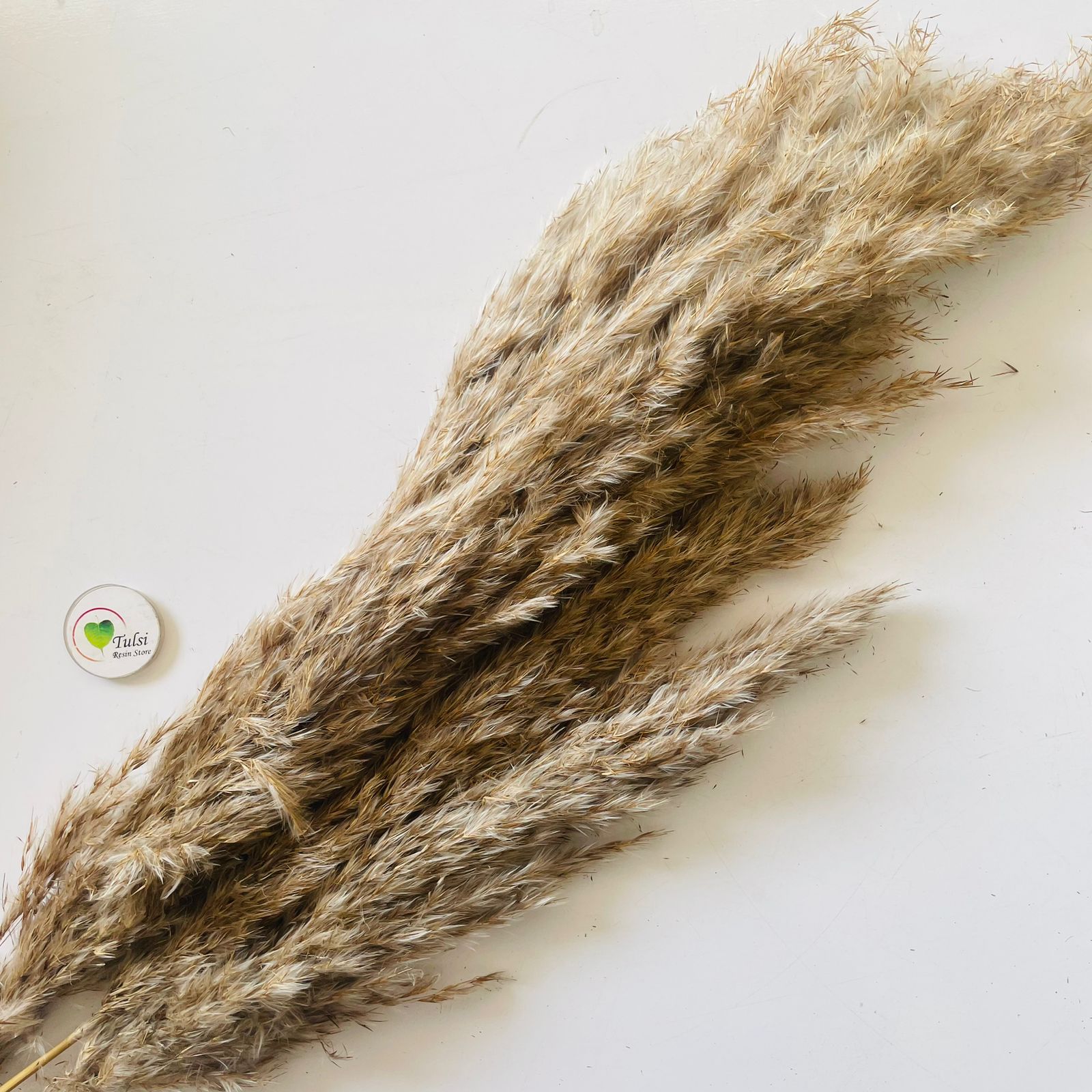 Brown Pampas Feather Stick