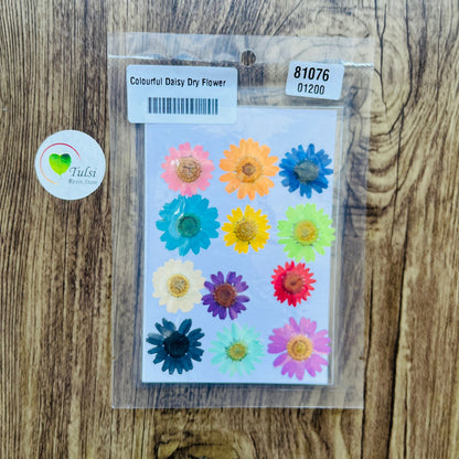Daisy Dry Flower - Mix