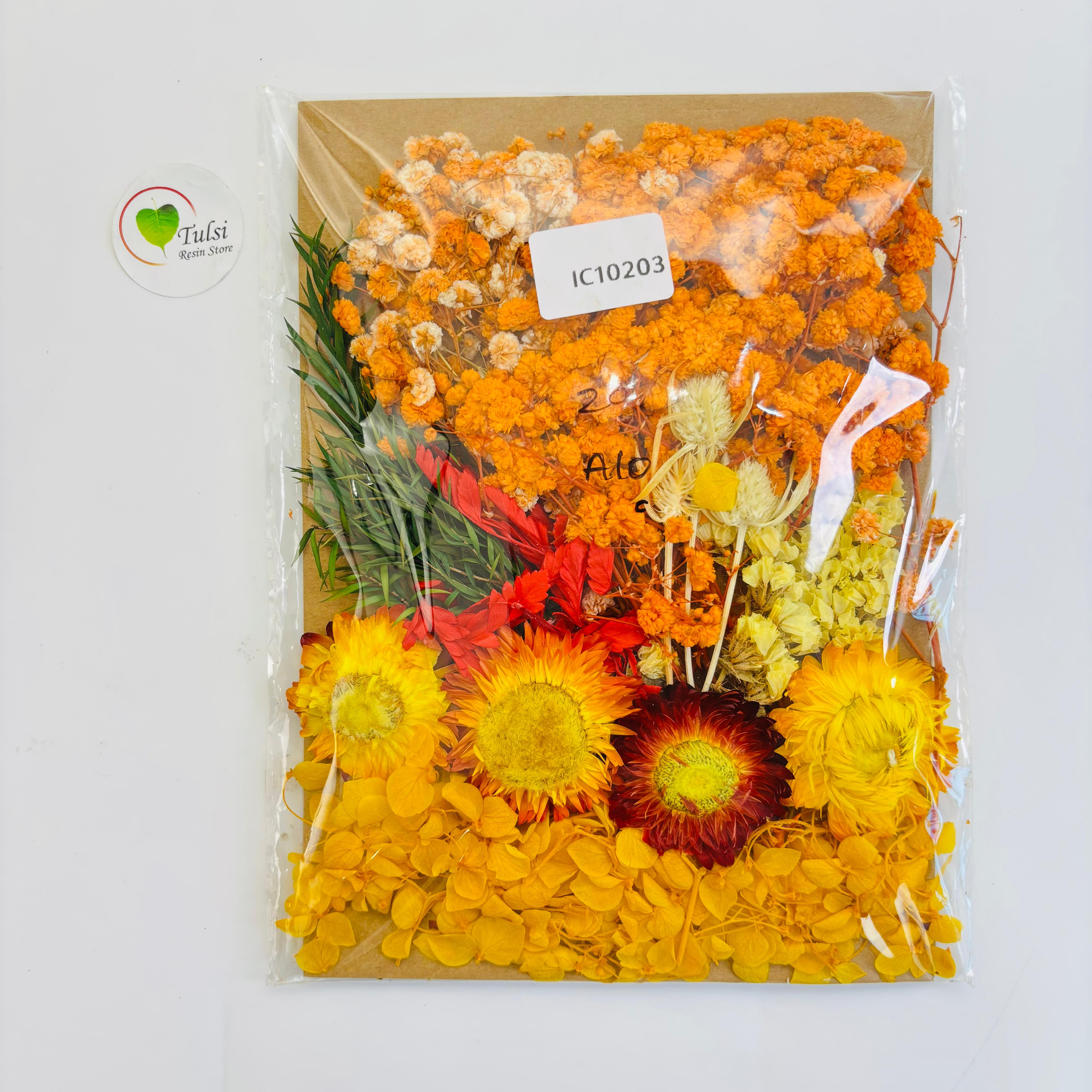 Mix Dry Flower Sheet - A10