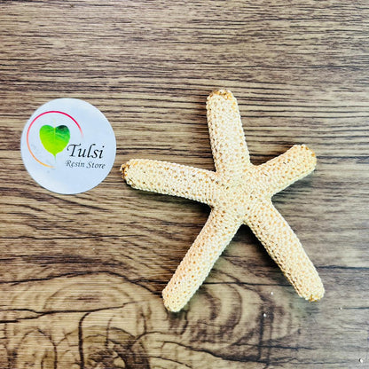 Natural Star Fish - Medium Finger