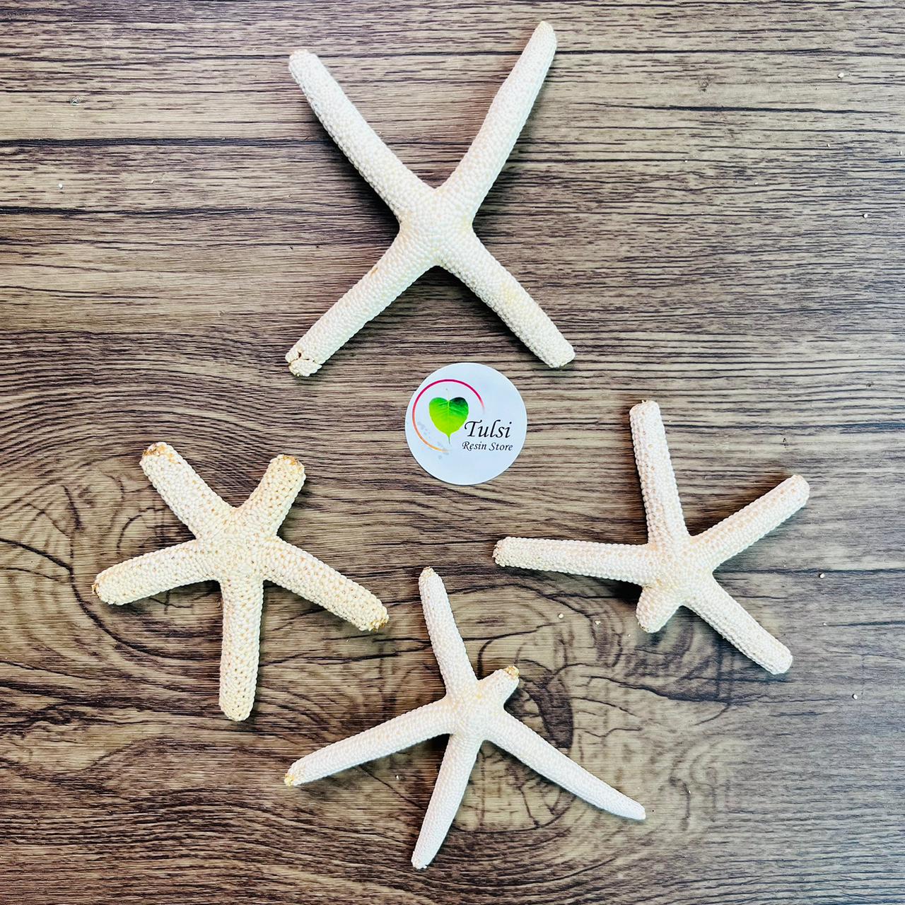 Natural Star Fish - Medium Finger