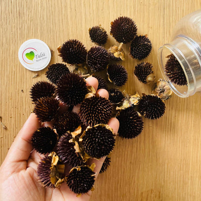 3D Dry Flower - Sunflower Head