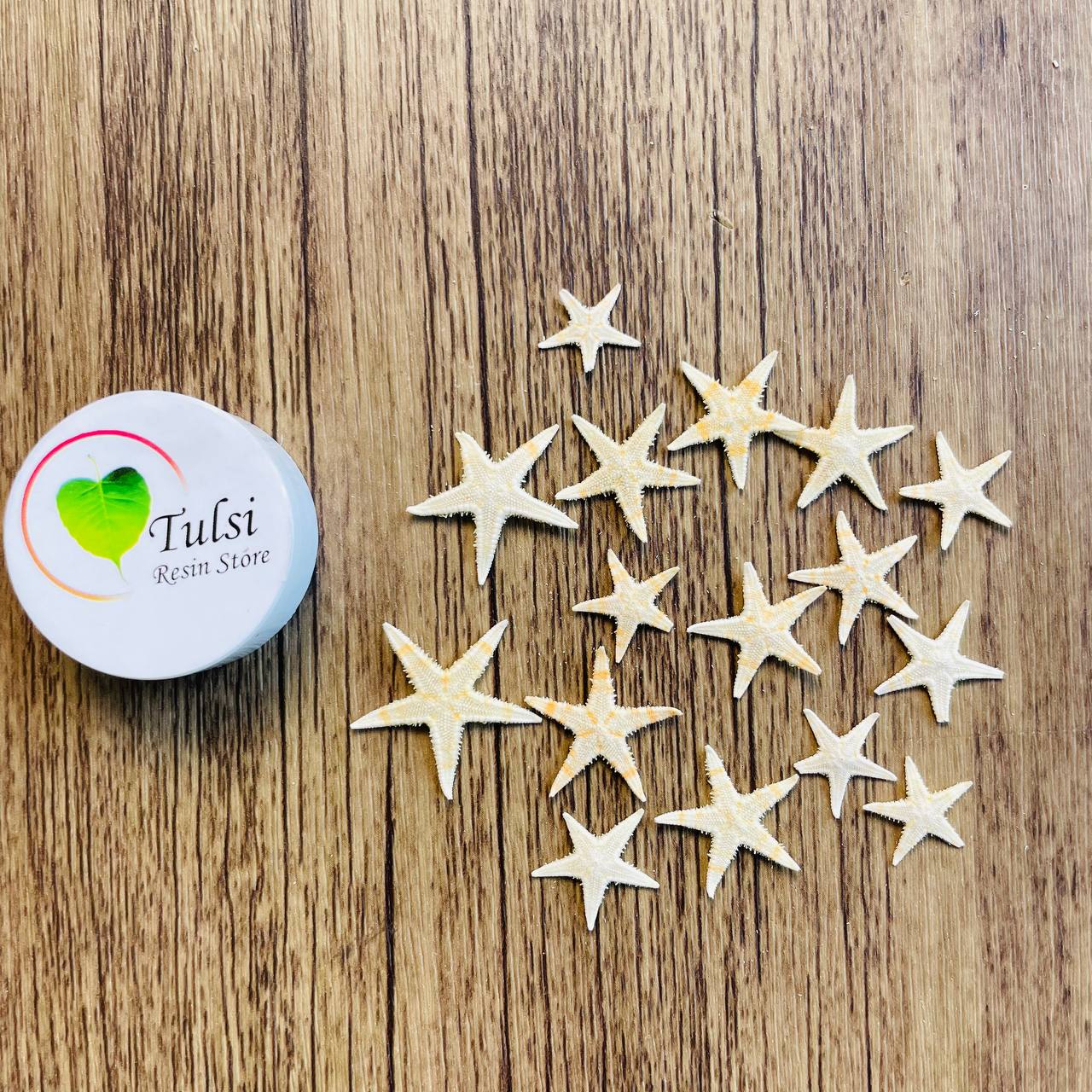 Natural Star Fish - Extra Small