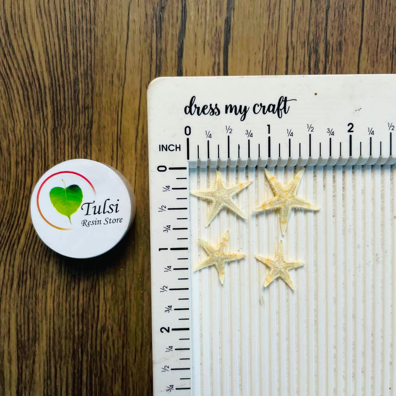 Natural Star Fish - Extra Small