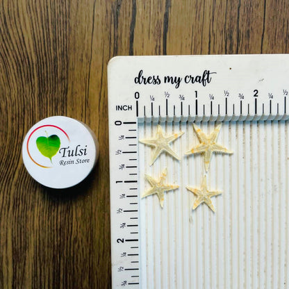 Natural Star Fish - Extra Small