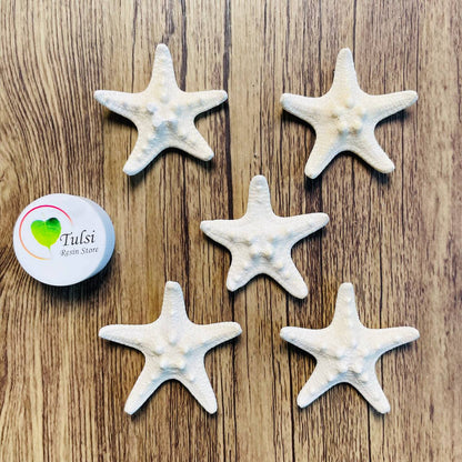 Natural Star Fish - Small Knobby