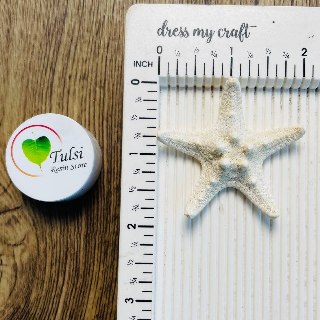 Natural Star Fish - Small Knobby