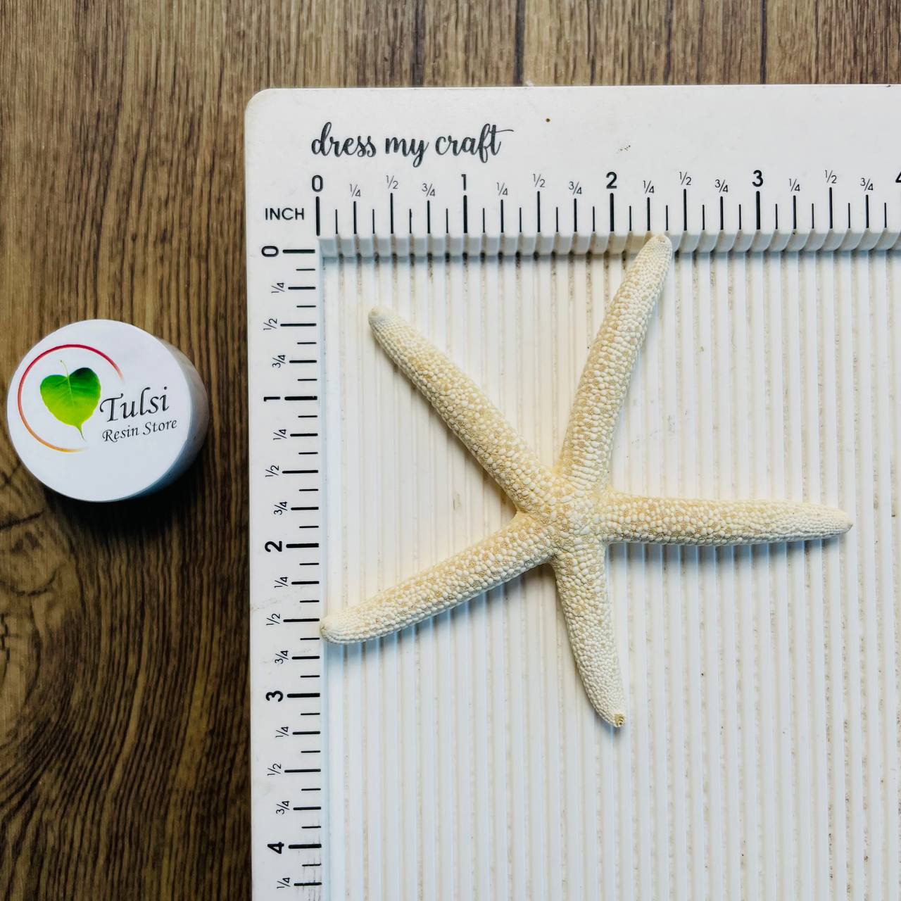 Natural Star Fish - Medium Finger
