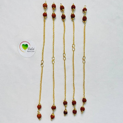 Bracelet Chain - Rudraksha (B)