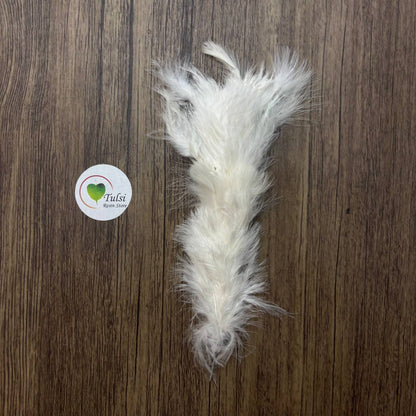 White Feather