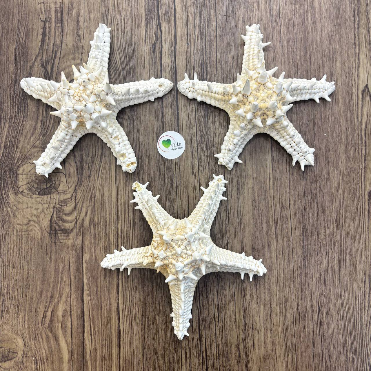 Natural Star Fish - Extra Big