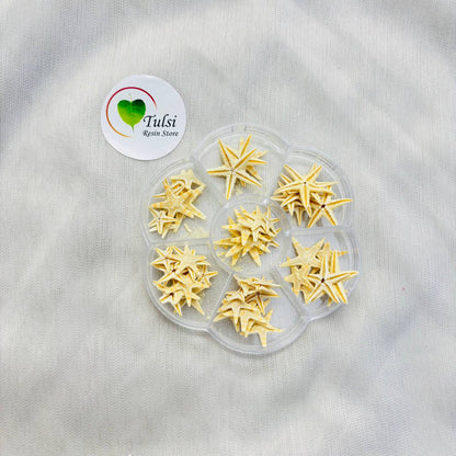 Natural Star Fish - Extra Small