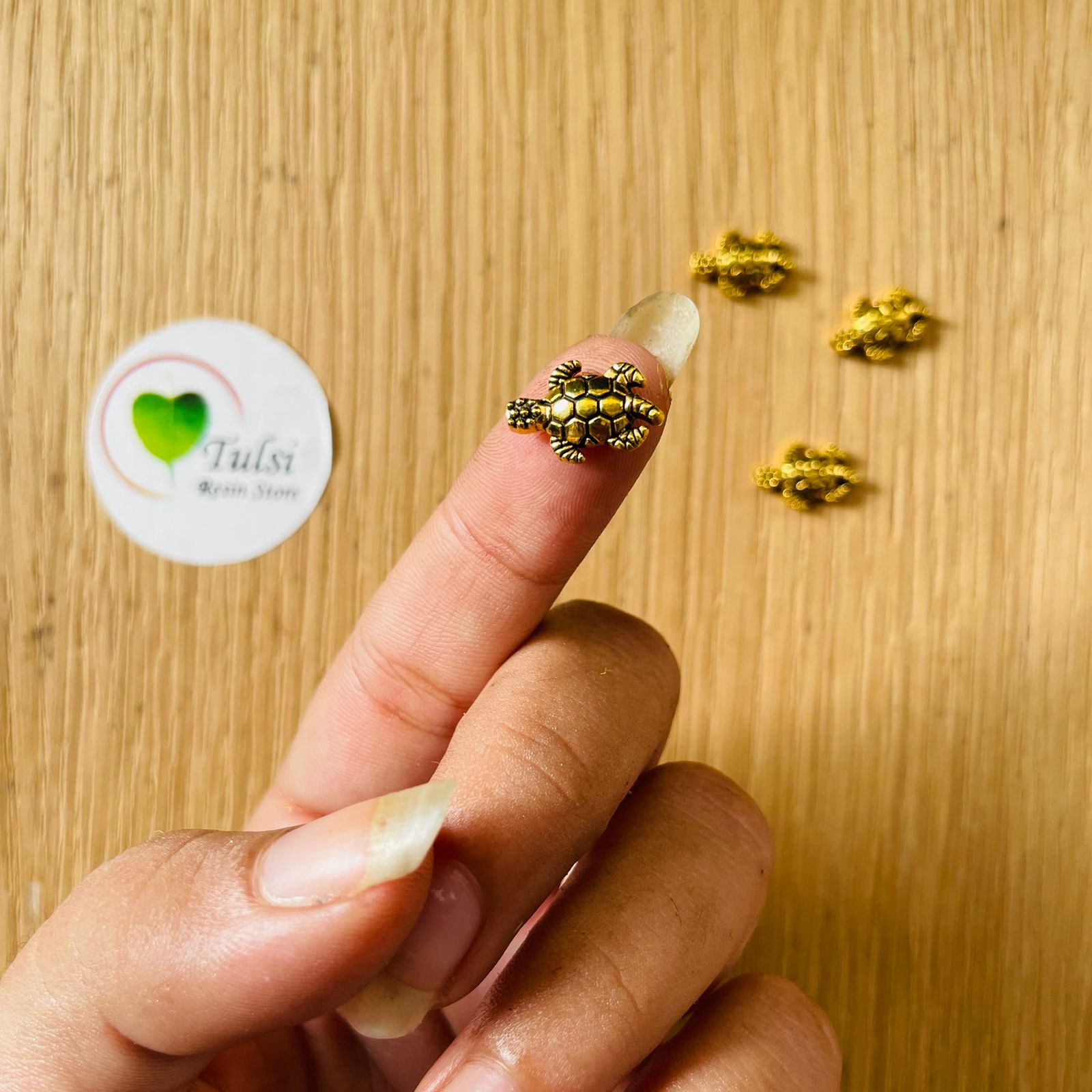 Gold Charm - Turtle (B) (5pc)