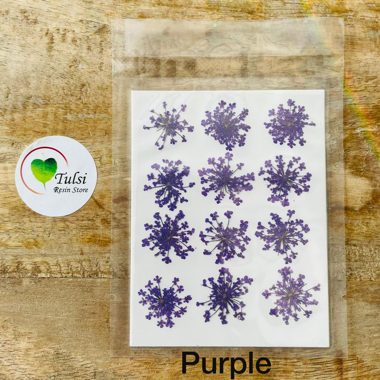 Queen Breath Pressed Flower Sheet