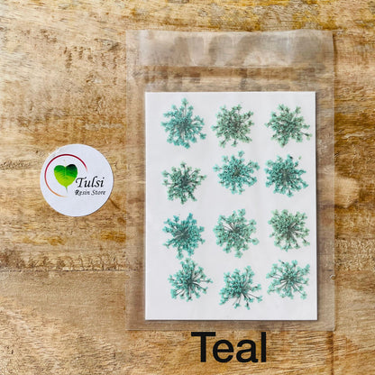 Queen Breath Pressed Flower Sheet