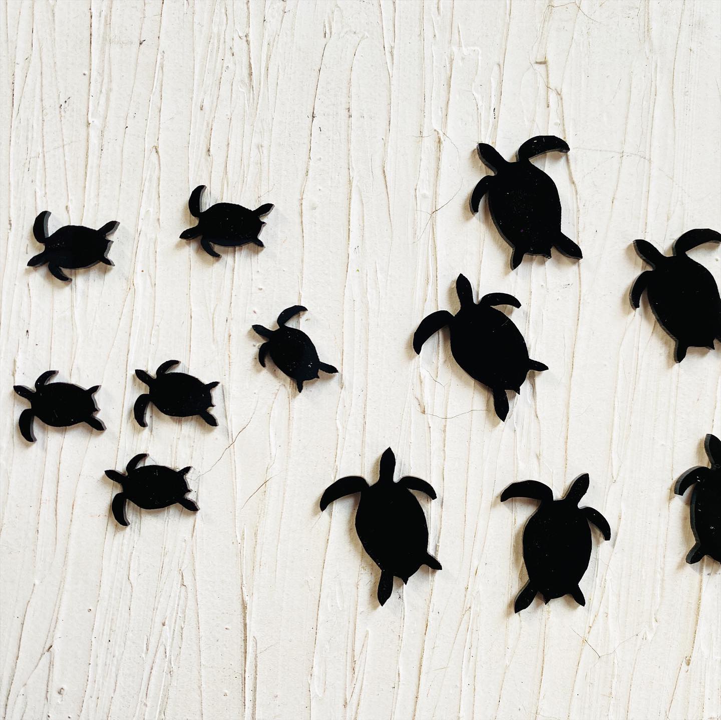 Sea Mammal -  Turtle