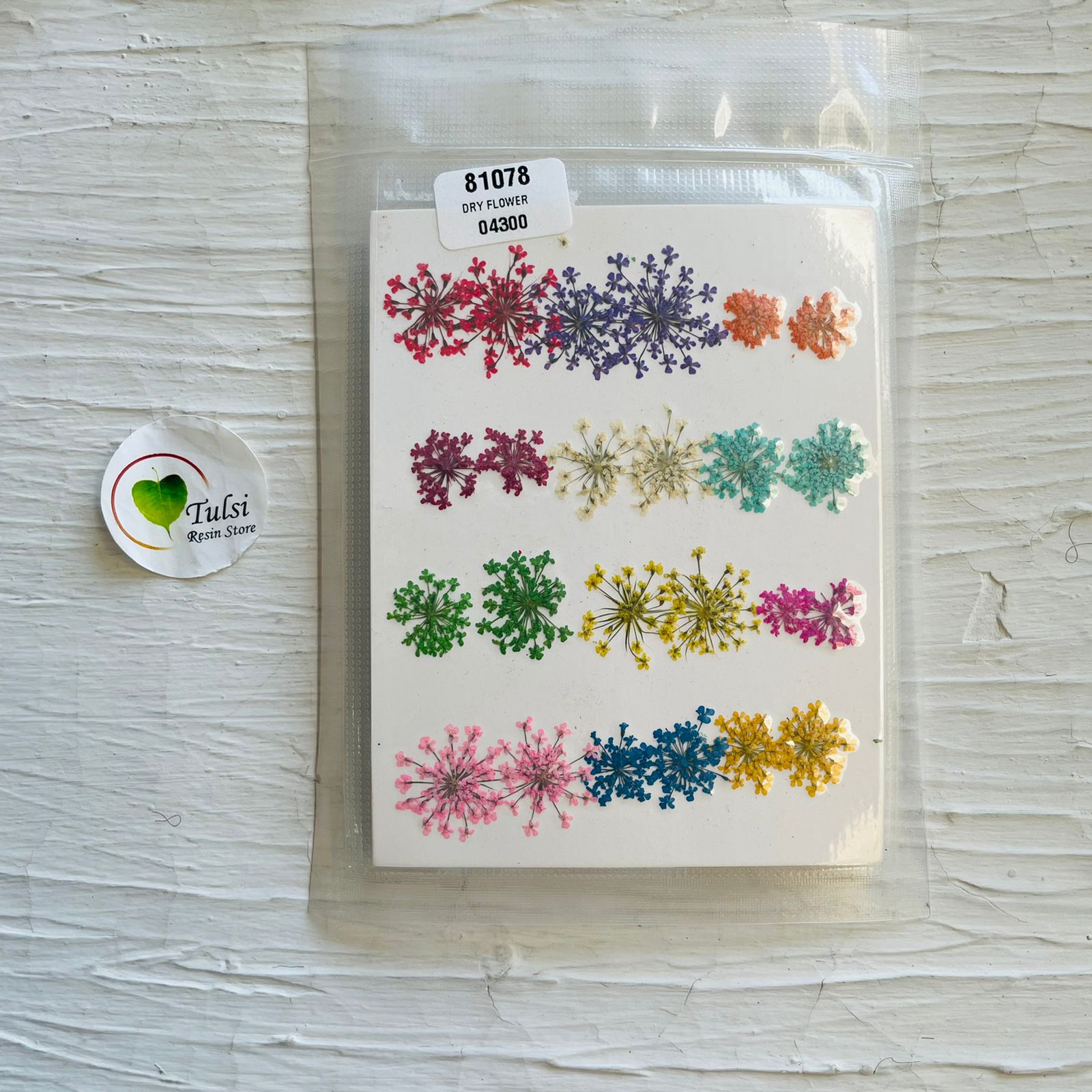 Queen Breath Dry Flower - 24pcs